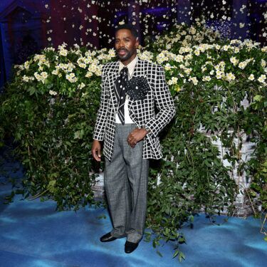 These Males Owned the 2025 Met Gala Pink Carpet
