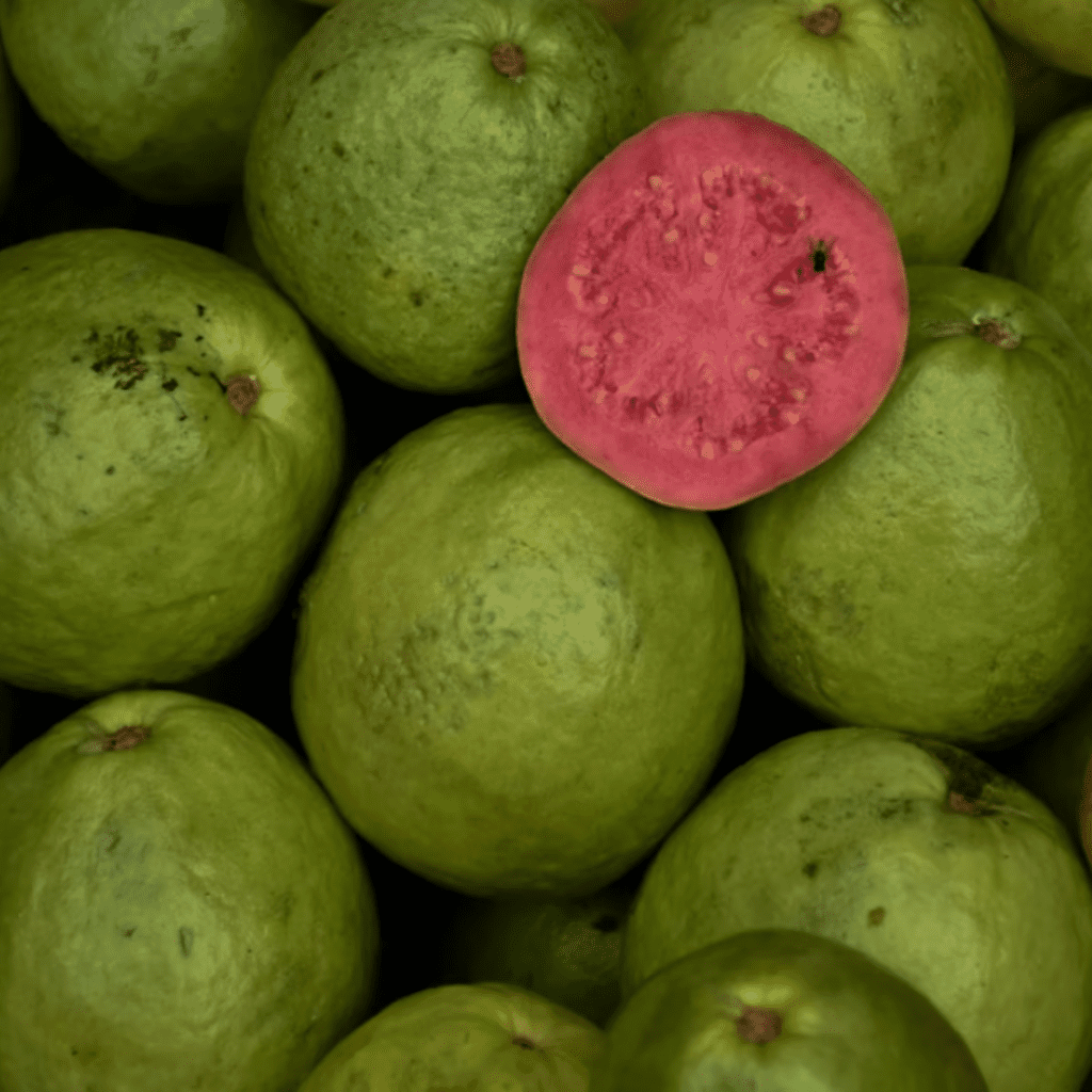 Guava Is the Official Scent of Summer time